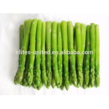 Cultivo chino IQF espárragos vegetales congelados